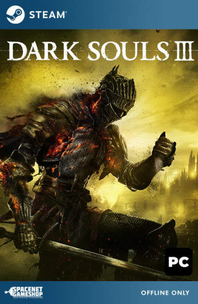 Dark Souls III 3 Steam [Offline Only]